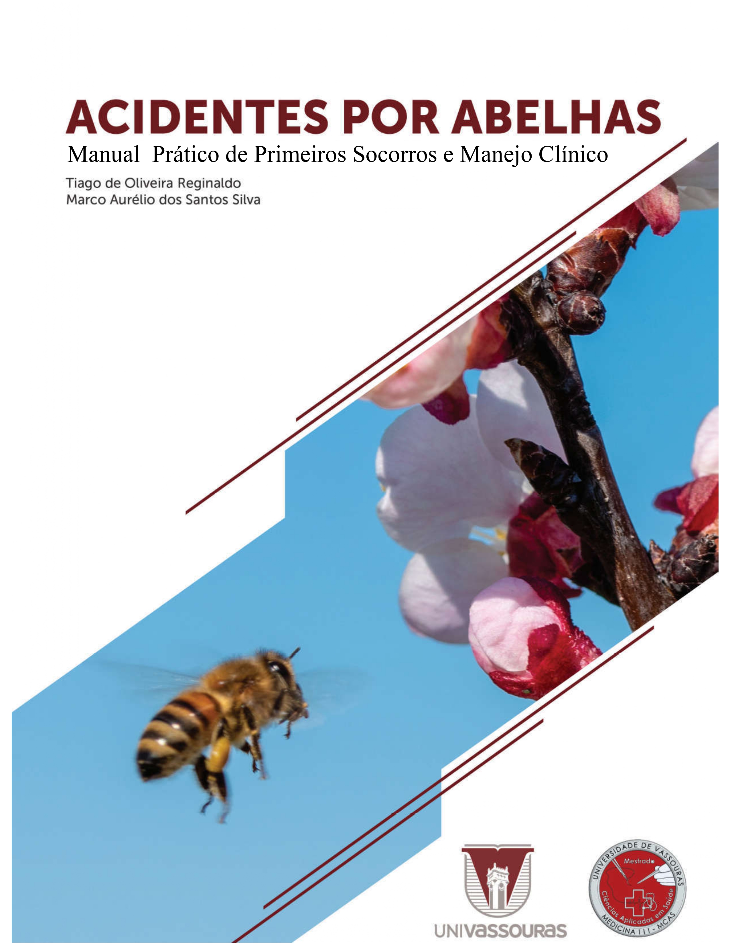 					Visualizar 2024: Acidentes por abelhas: Manual Prático de Primeiros Socorros e Manejo Clínico
				