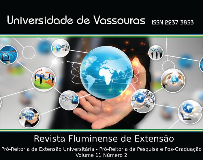 					View Vol. 11 No. 2 (2021): Revista Fluminense de extensão Universitária V11 N2
				